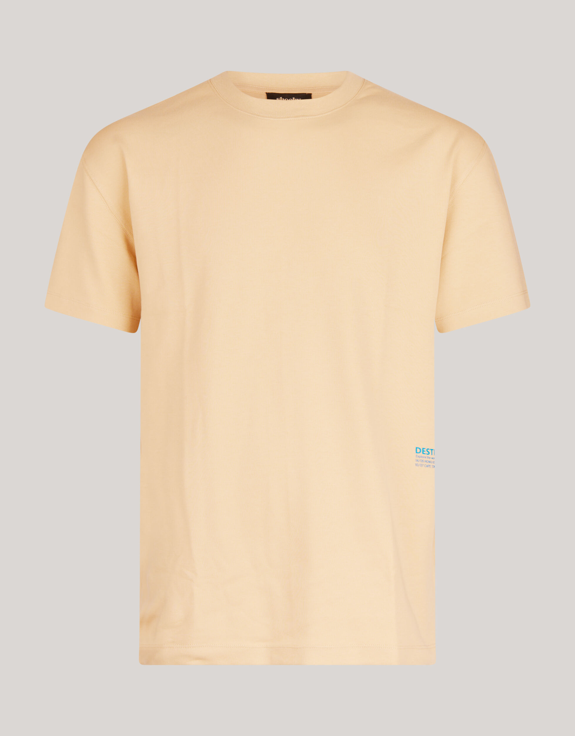 Basic T-shirt Zand SHOEBY MEN