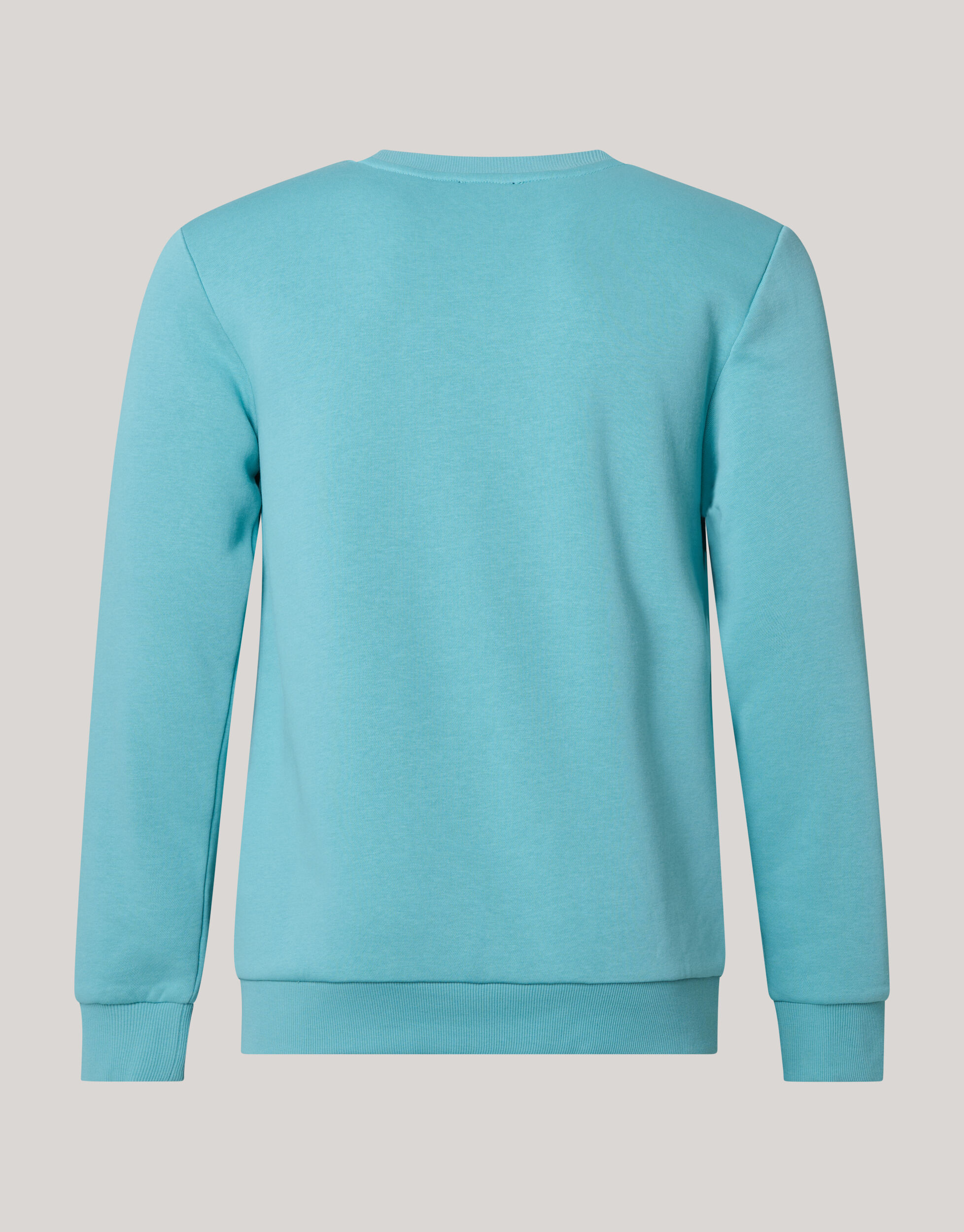 Basis Sweater Lichtgroen SHOEBY MEN