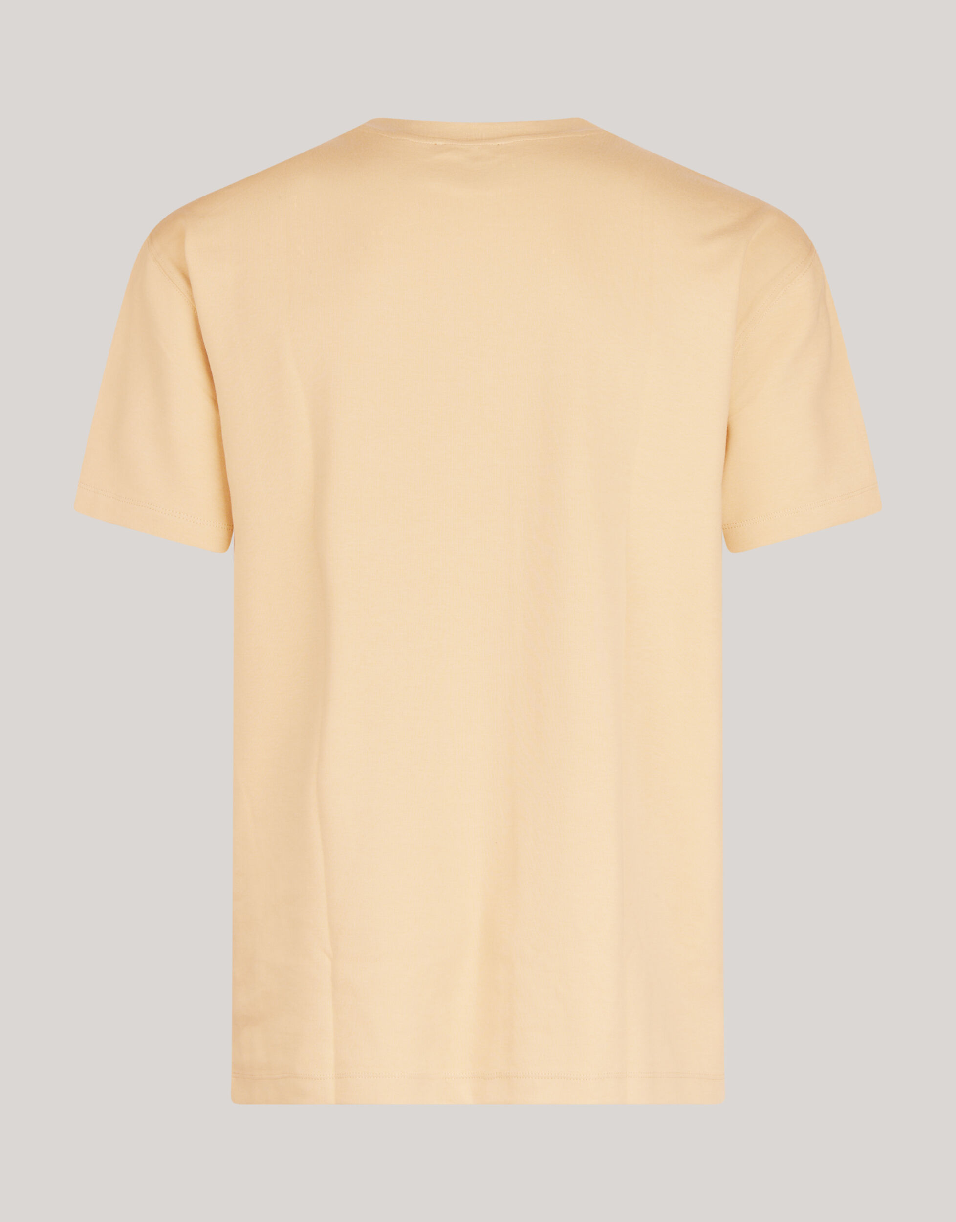 Basic T-shirt Zand SHOEBY MEN