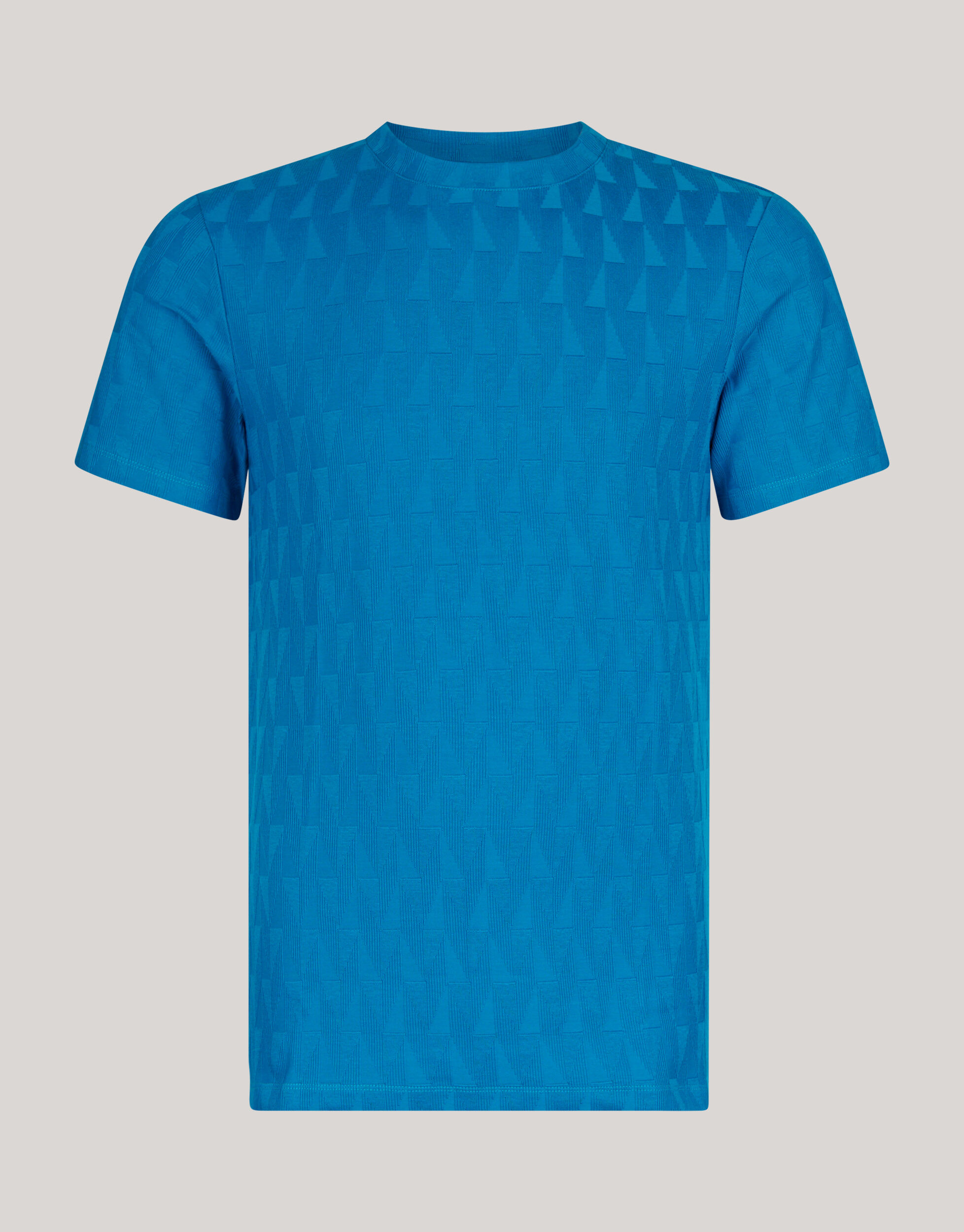 Jacquard T-shirt Blauw SHOEBY MEN