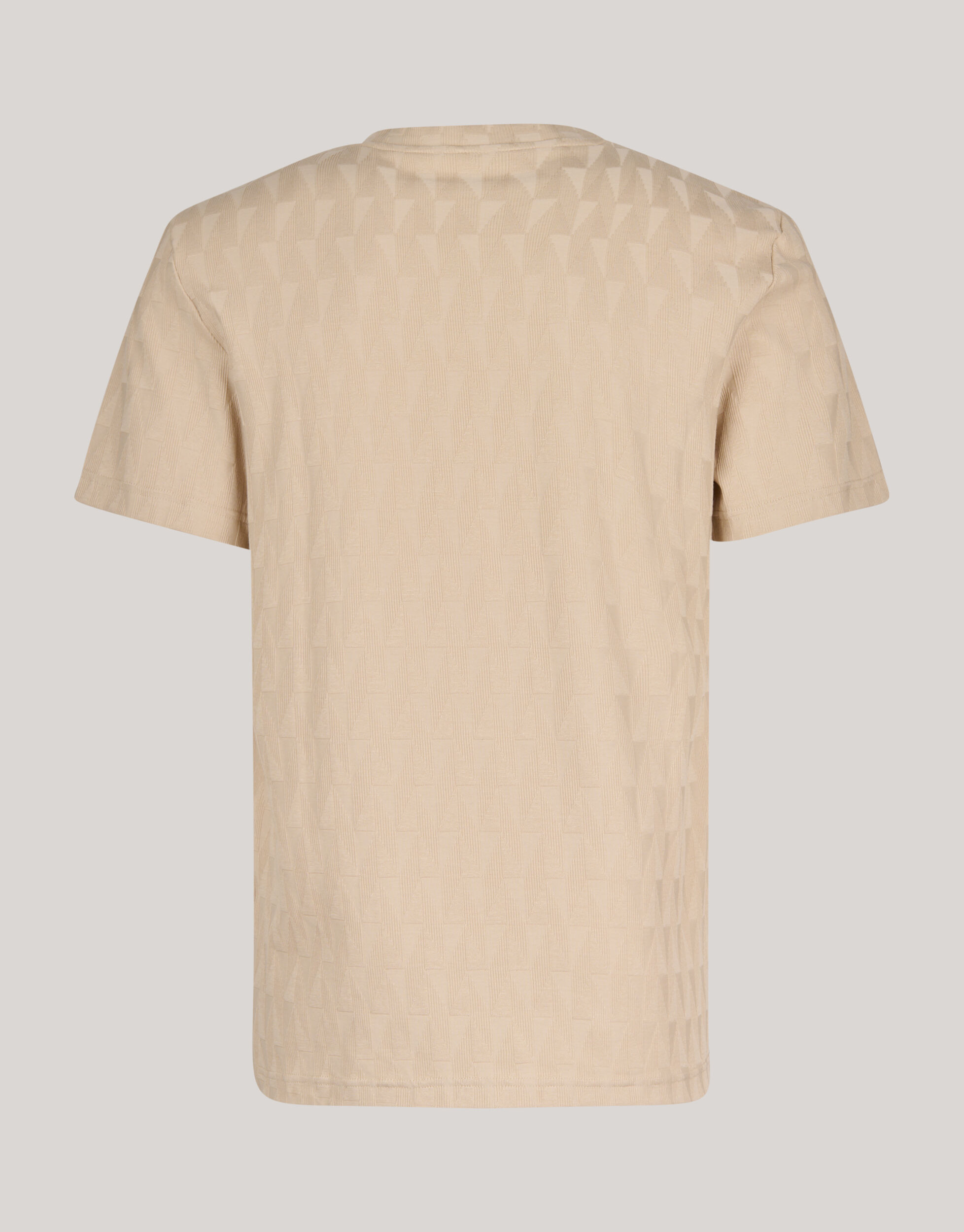 Jacquard T-Shirt Zand SHOEBY MEN