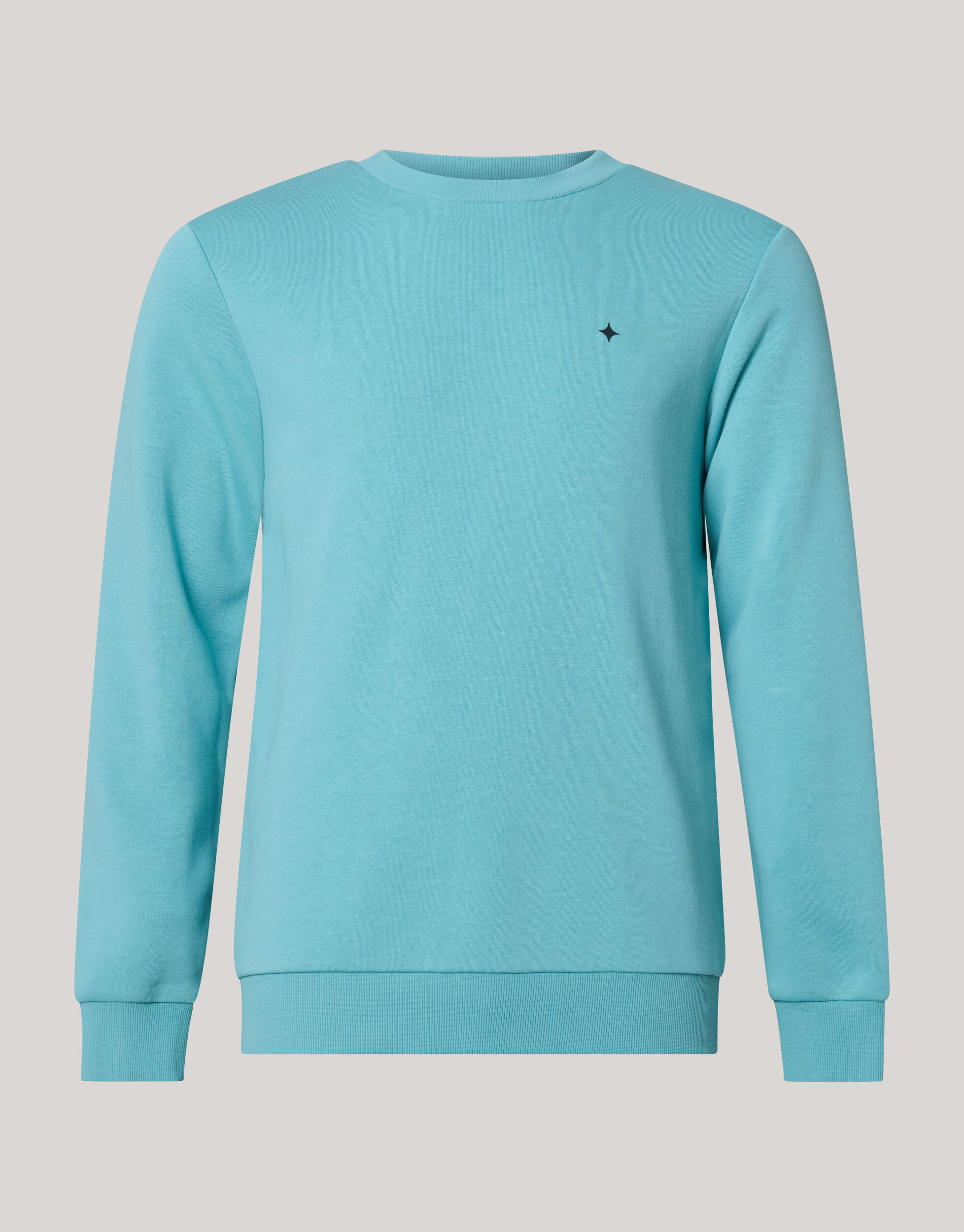 Basis Sweater Lichtgroen SHOEBY MEN