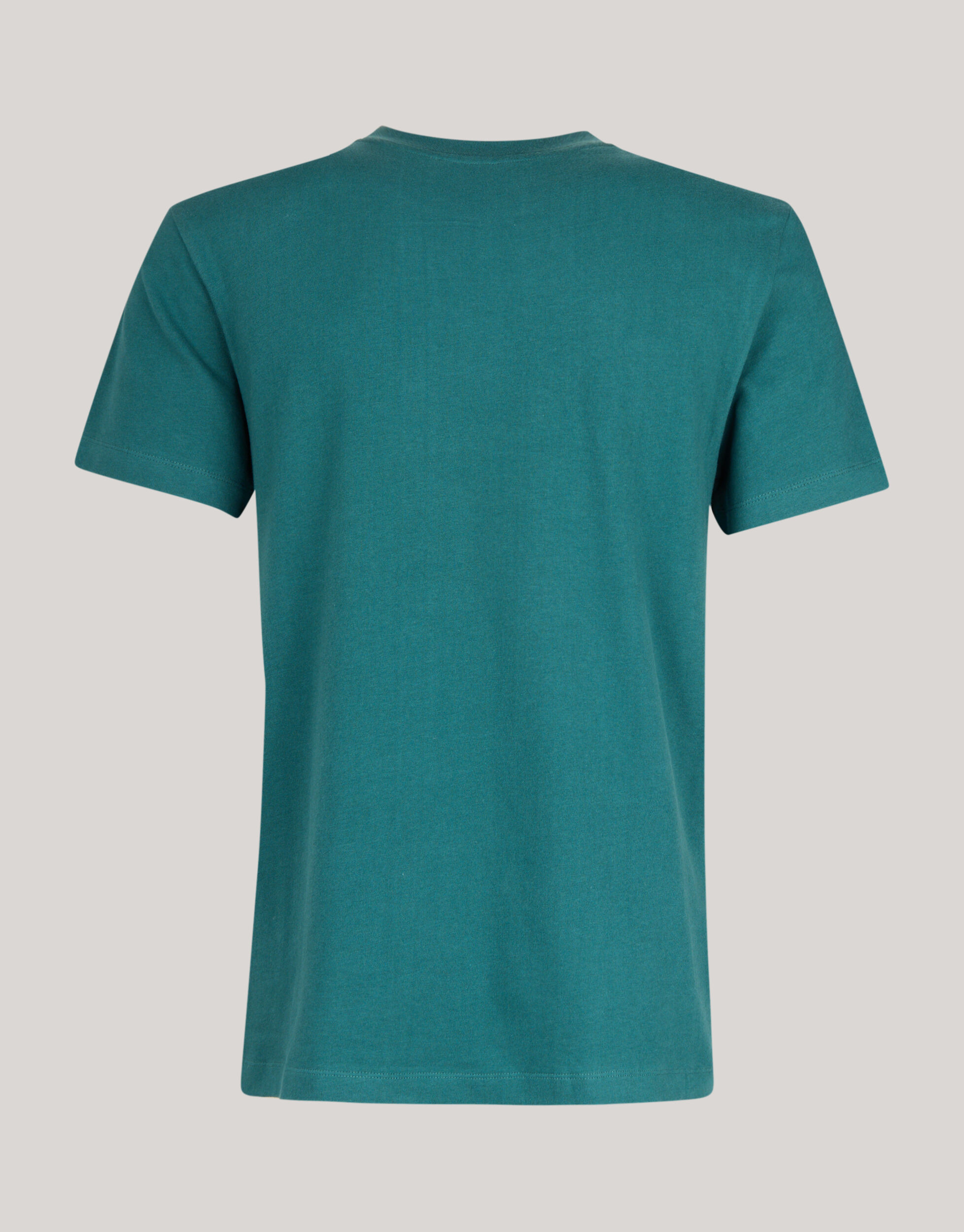 Brushed T-shirt Turquoise SHOEBY MEN