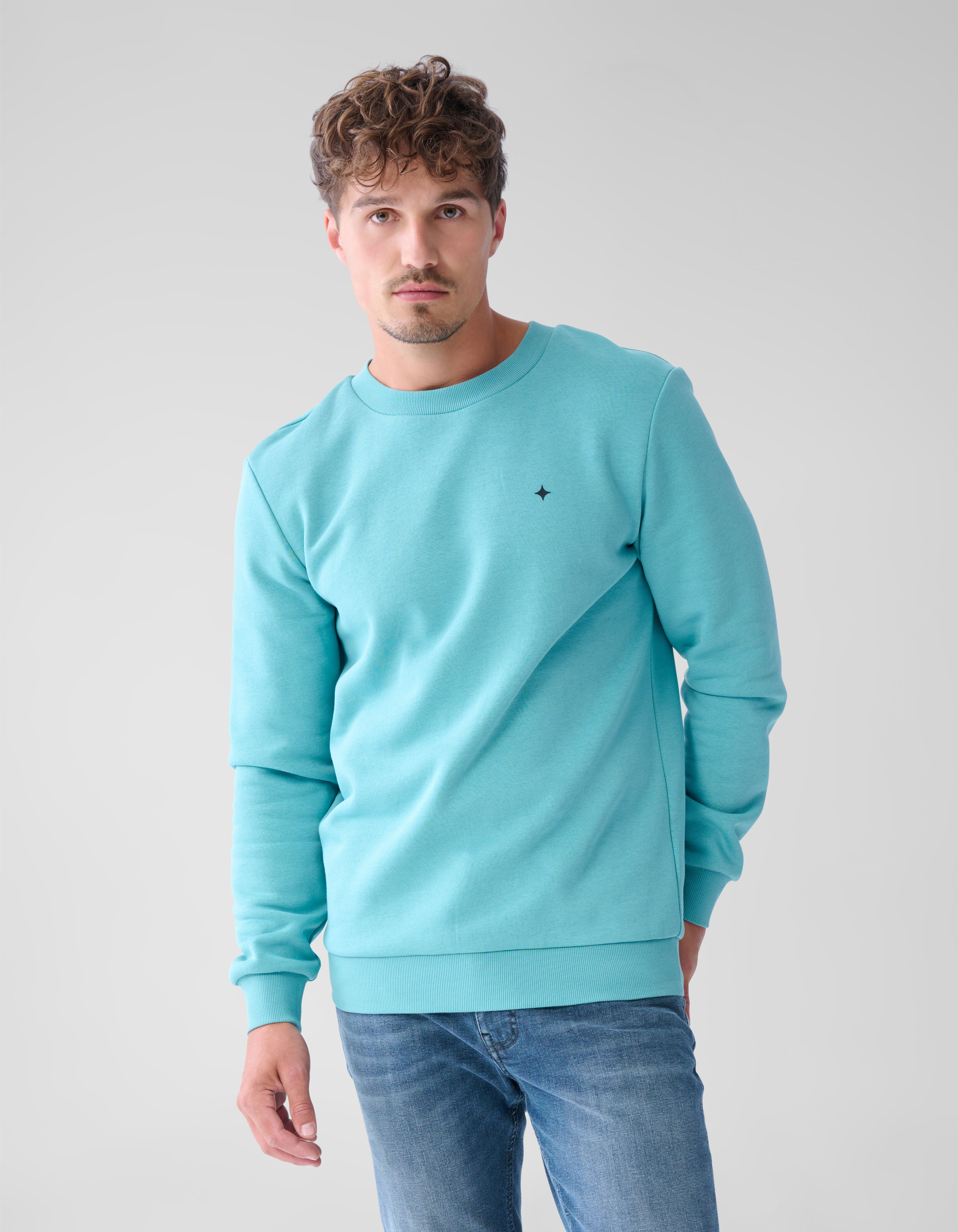 Basis Sweater Lichtgroen SHOEBY MEN