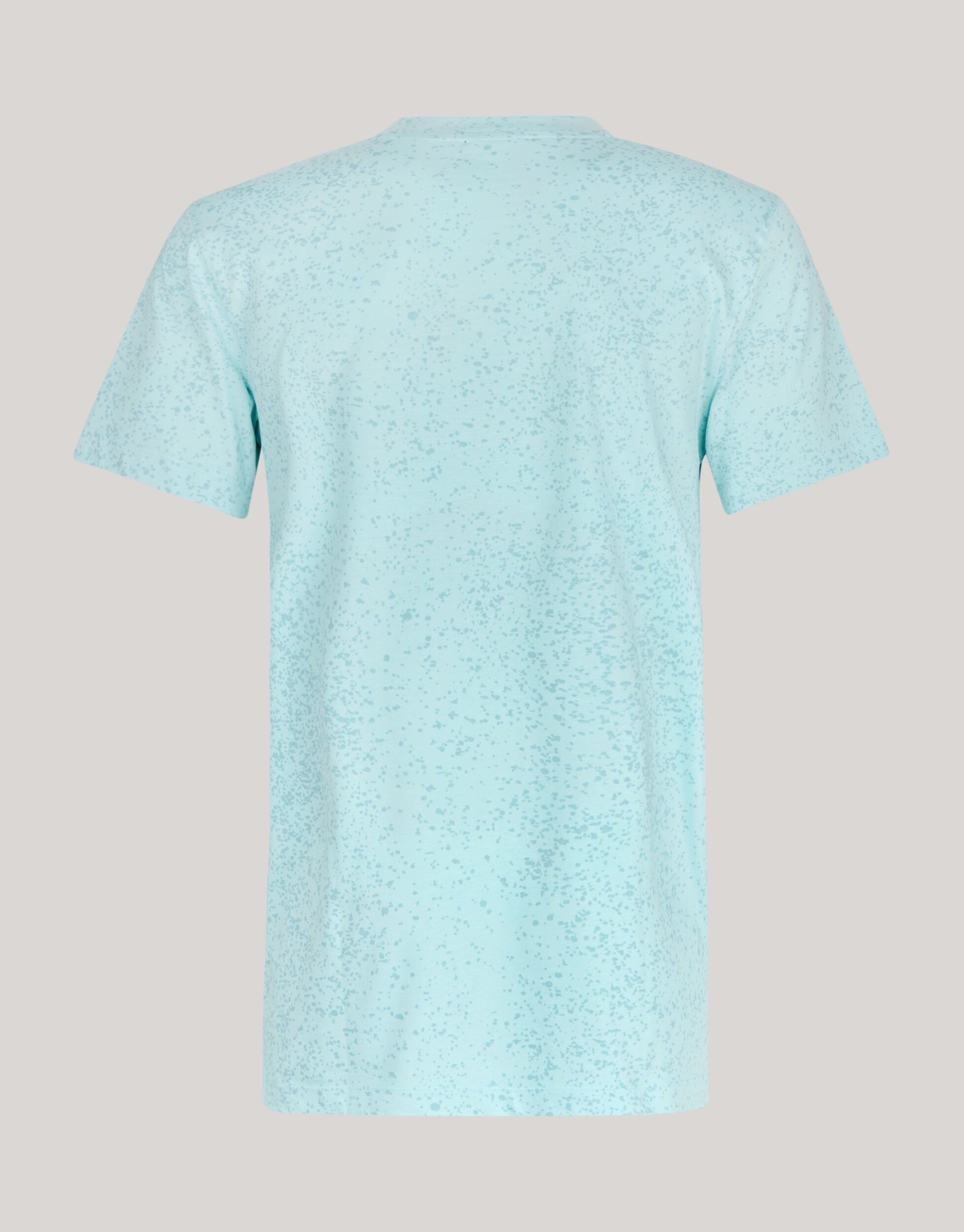 Printed T-shirt Lichtblauw SHOEBY MEN