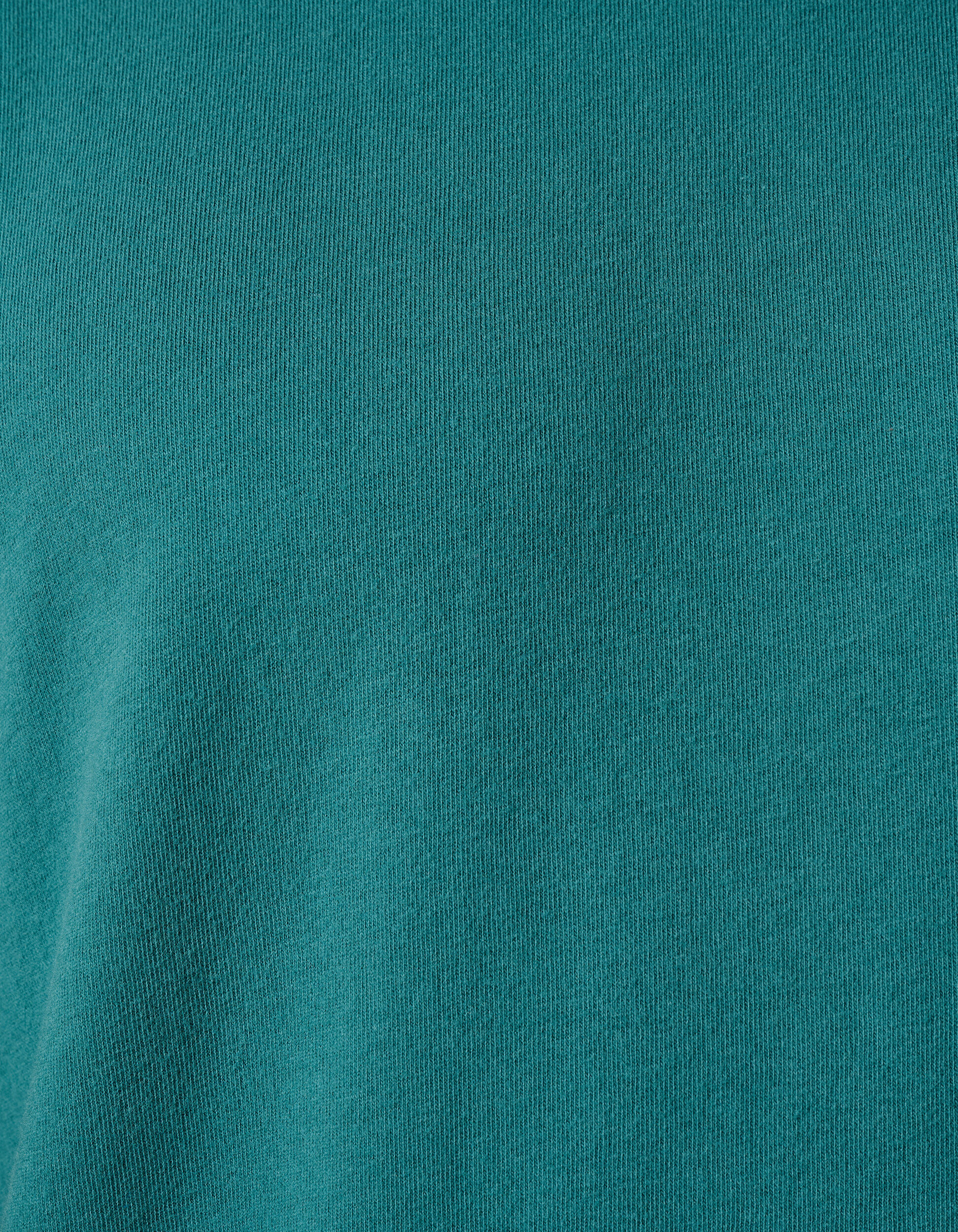 Brushed T-shirt Turquoise SHOEBY MEN